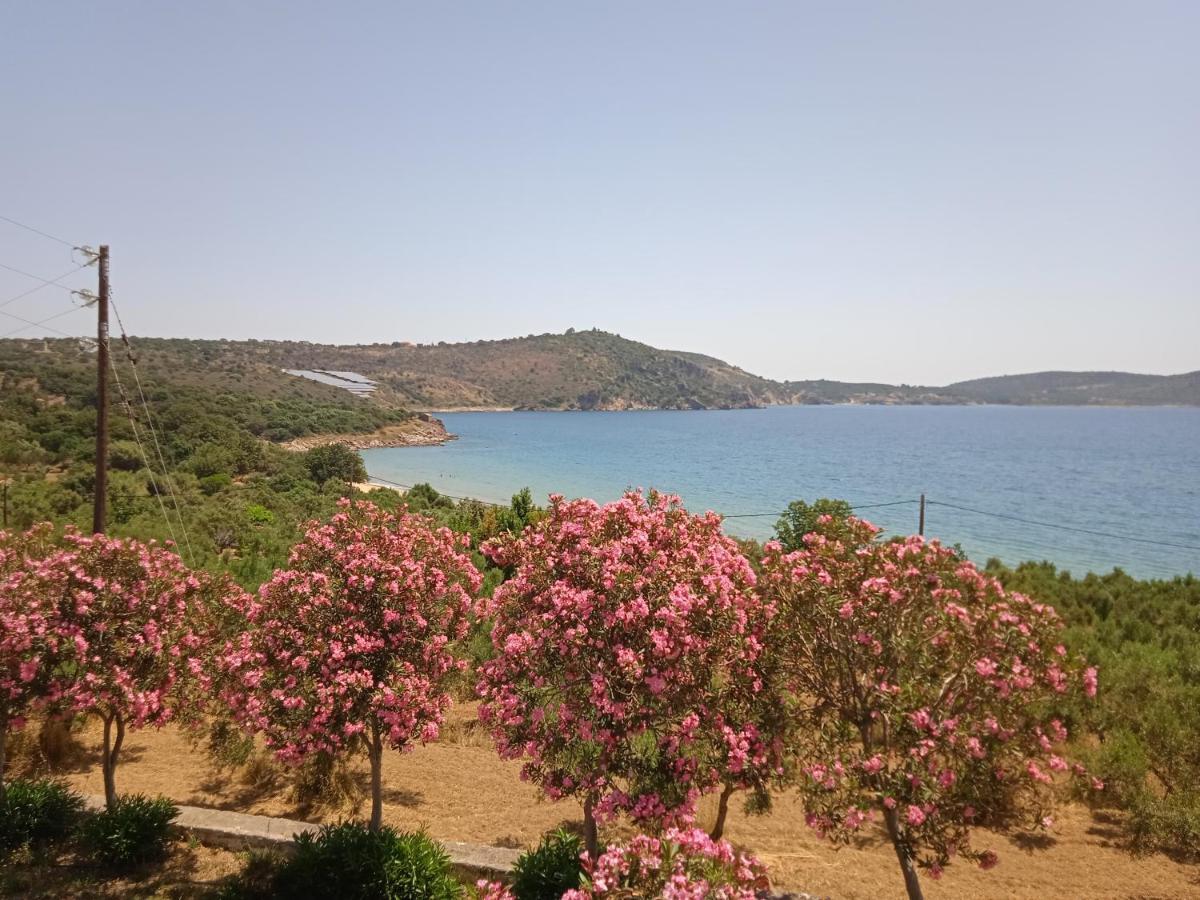 Skoutari Beach Hotel المظهر الخارجي الصورة