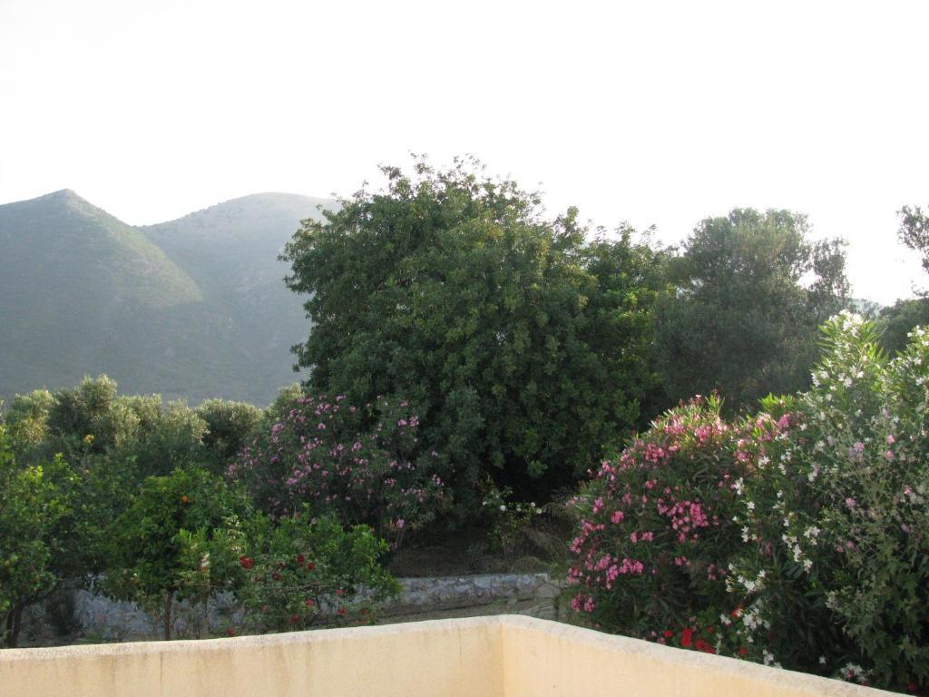 Skoutari Beach Hotel الغرفة الصورة