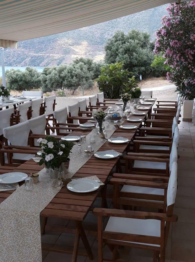 Skoutari Beach Hotel المظهر الخارجي الصورة